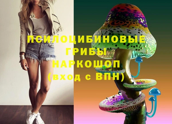 ешки Арсеньев