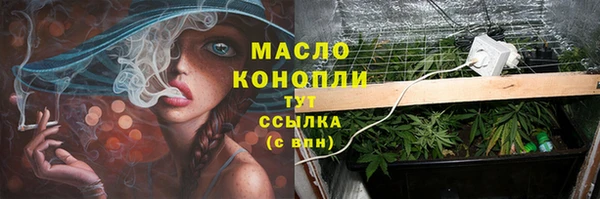 ешки Арсеньев